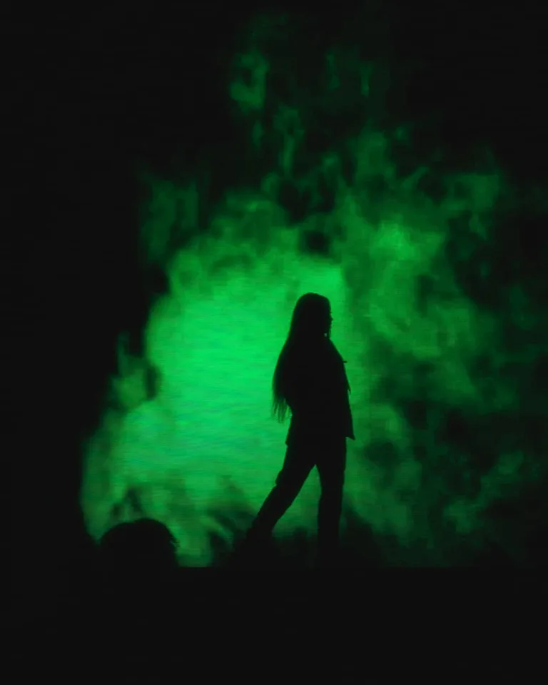 Konzertfotografie: Silhouette einer Sängerin vor grünem Licht im Nebel